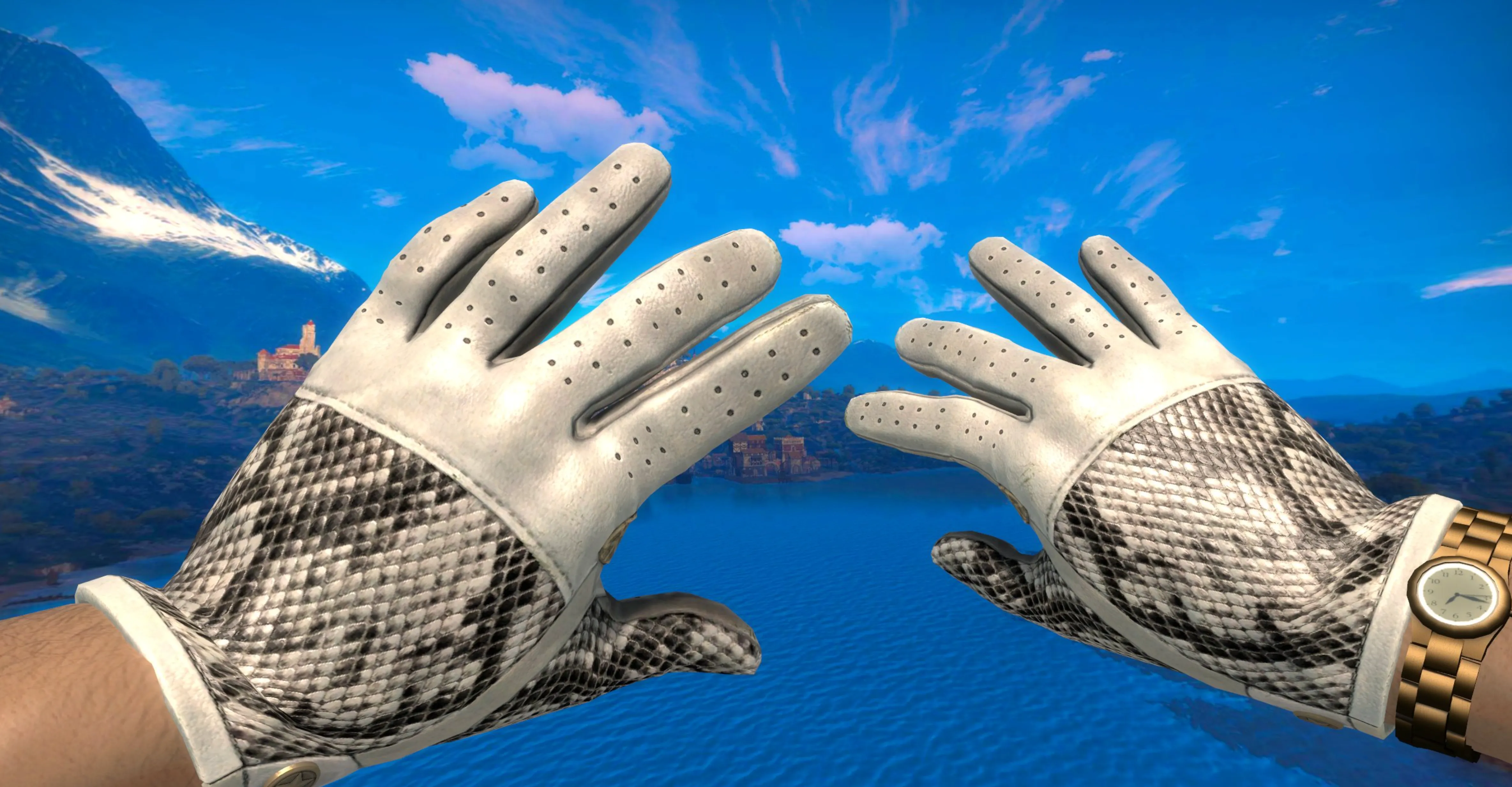 Driver Gloves Snow Leopard and damascus steel knife